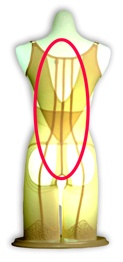 背部