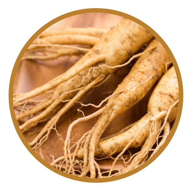 紅參精華