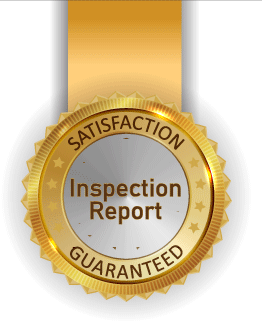 Inspection Report